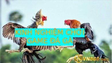 Kinh nghiệm chơi game đá gà