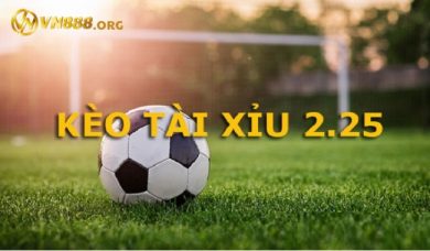 Tài xỉu 2-25 là gì? Bí quyết cá cược bất bại tại VN888